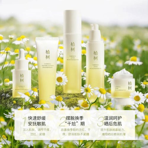 2026年敏感肌必備！9款洋甘菊護膚品深度評測，舒緩修紅超有效，植樹/雨微莎/萱姿誰更強？